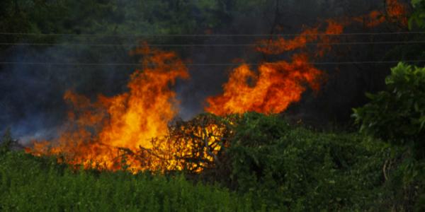 News from Spain: Emergency military workers